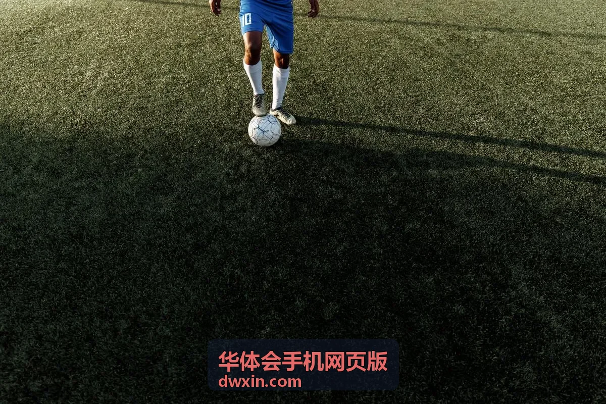 华体会手机网页版深度解读栏目内容封面