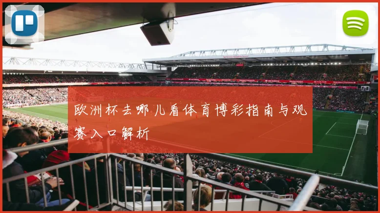 欧洲杯去哪儿看体育博彩指南与观赛入口解析