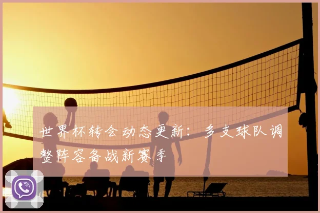世界杯转会动态更新：多支球队调整阵容备战新赛季