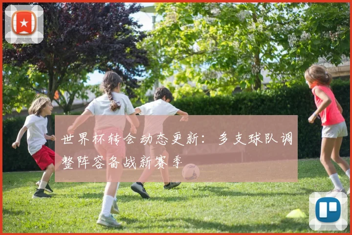 世界杯转会动态更新：多支球队调整阵容备战新赛季