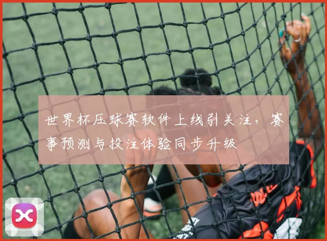 世界杯压球赛软件上线引关注,赛事预测与投注体验同步升级