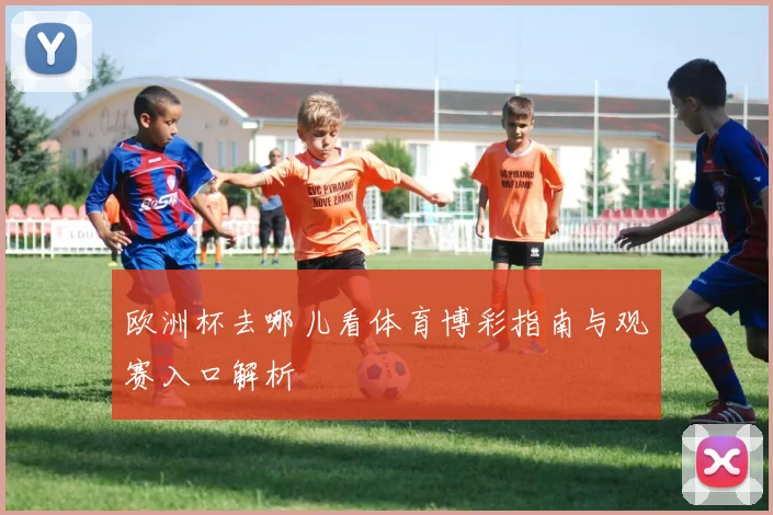 欧洲杯去哪儿看体育博彩指南与观赛入口解析