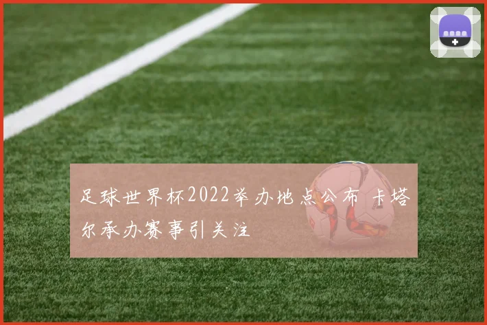 足球世界杯2022举办地点公布 卡塔尔承办赛事引关注