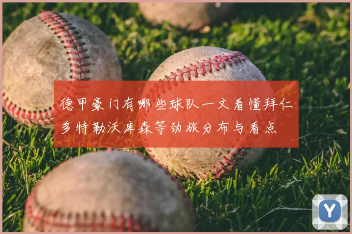 德甲豪门有哪些球队一文看懂拜仁多特勒沃库森等劲旅分布与看点