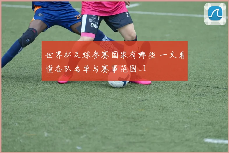 世界杯足球参赛国家有哪些 一文看懂各队名单与赛事范围_1