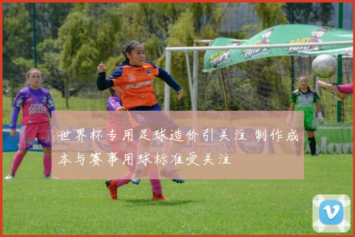 世界杯专用足球造价引关注 制作成本与赛事用球标准受关注