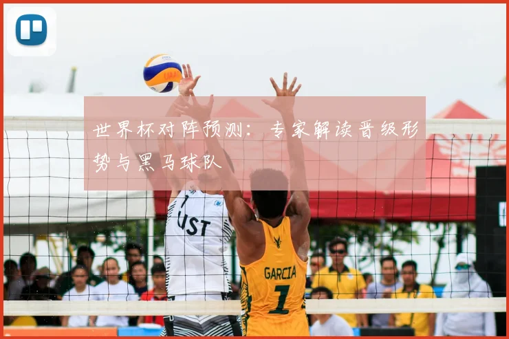 世界杯对阵预测:专家解读晋级形势与黑马球队